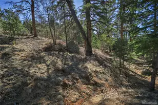 640 Ridgeway Dr, Cotopaxi, CO 81223 - Photo 31