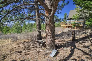 640 Ridgeway Dr, Cotopaxi, CO 81223 - Photo 29