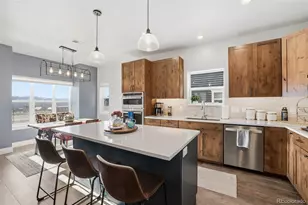 1206 Mineral Belt Grn, Leadville, CO 80461 - Photo 13