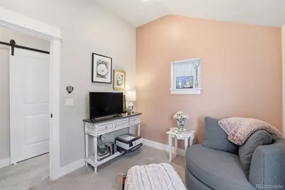 1206 Mineral Belt Green, Leadville, CO 80461 - Photo 31