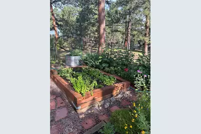29866 Woods Drive, Evergreen, CO 80439 - Photo 35