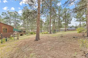 29866 Woods Dr, Evergreen, CO 80439 - Photo 41