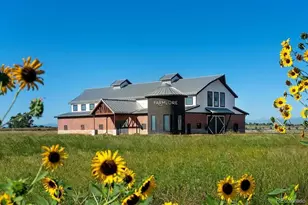 1701 Bloom St, Brighton, CO 80601 - Photo 5