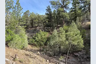 594 Maurice Drive, Cotopaxi, CO 81223 - Photo 3