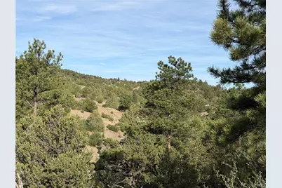 594 Maurice Drive, Cotopaxi, CO 81223 - Photo 9