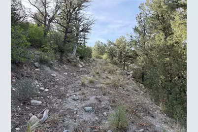 594 Maurice Drive, Cotopaxi, CO 81223 - Photo 37