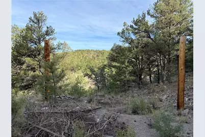 594 Maurice Drive, Cotopaxi, CO 81223 - Photo 43