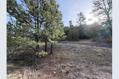 594 Maurice Drive, Cotopaxi, CO 81223 - Photo 27