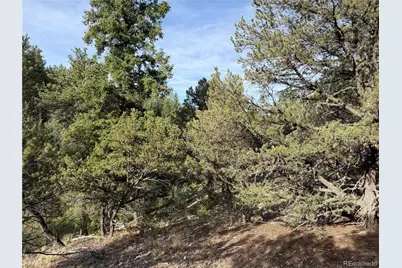 594 Maurice Drive, Cotopaxi, CO 81223 - Photo 21