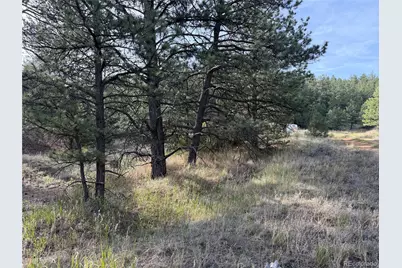 594 Maurice Drive, Cotopaxi, CO 81223 - Photo 23