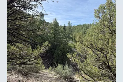 594 Maurice Drive, Cotopaxi, CO 81223 - Photo 7