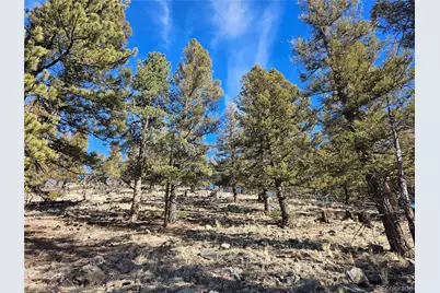 Bonell Drive, Fairplay, CO 80440 - Photo 29