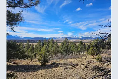 Bonell Drive, Fairplay, CO 80440 - Photo 25