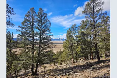 Bonell Drive, Fairplay, CO 80440 - Photo 41