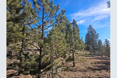 Bonell Drive, Fairplay, CO 80440 - Photo 19