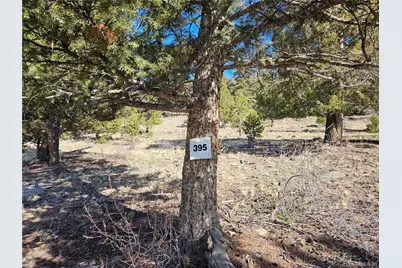 Bonell Drive, Fairplay, CO 80440 - Photo 15