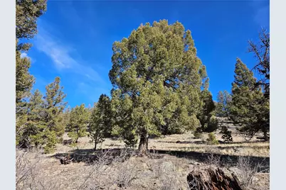 Bonell Drive, Fairplay, CO 80440 - Photo 9