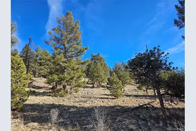 Bonell Drive, Fairplay, CO 80440 - Photo 21