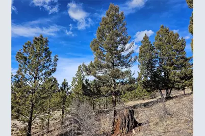 Bonell Drive, Fairplay, CO 80440 - Photo 11