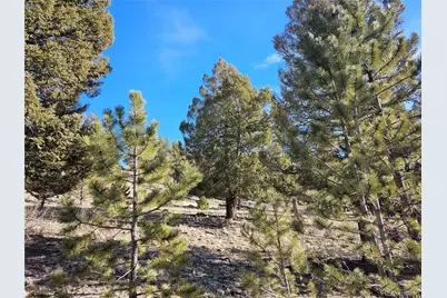 Bonell Drive, Fairplay, CO 80440 - Photo 3