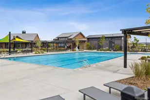 11415 Warm Wind St, Littleton, CO 80125 - Photo 47