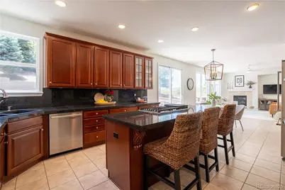 2550 Shadecrest Place, Highlands Ranch, CO 80126 - Photo 19