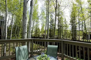 18 Hawn Dr, Frisco, CO 80443 - Photo 25