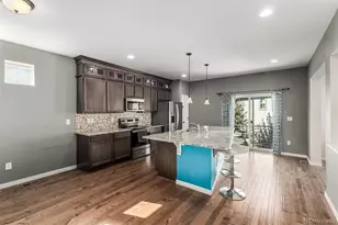 20031 Elgin Dr, Denver, CO 80249 - Photo 11