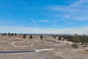 7939 Painted Pne St, Parker, CO 80134 - Photo 9