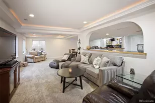 5379 Streambed Trail, Parker, CO 80134 - Photo 29