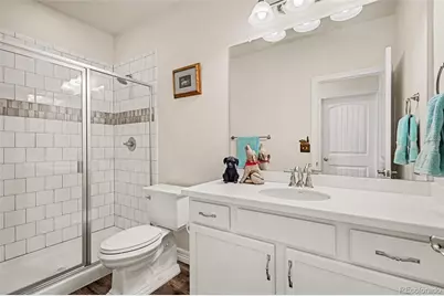 6142 Leilani Lane, Castle Rock, CO 80108 - Photo 17