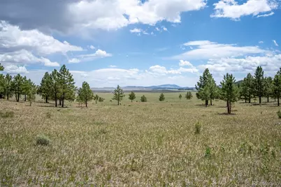 2883 Wagon Wheel Road, Hartsel, CO 80449 - Photo 47