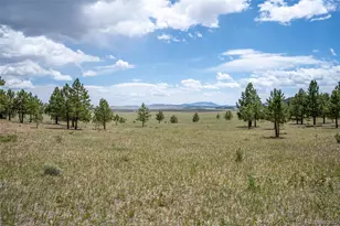 2883 Wagon Wheel Rd, Hartsel, CO 80449 - Photo 47