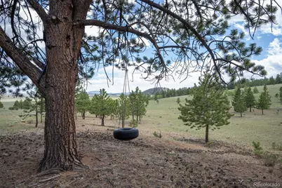 2883 Wagon Wheel Road, Hartsel, CO 80449 - Photo 39