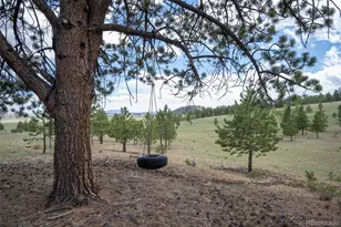 2883 Wagon Wheel Rd, Hartsel, CO 80449 - Photo 39