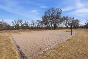 9227 Rolling Way, Parker, CO 80134 - Photo 47