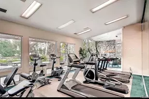 8427 Thunder Ridge Way, Littleton, CO 80126 - Photo 39