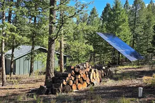 22800 Co Rd 185C, Salida, CO 81201 - Photo 27