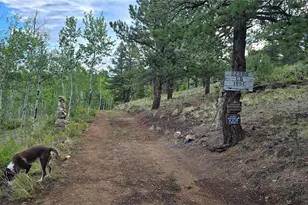 22800 Co Rd 185C, Salida, CO 81201 - Photo 29