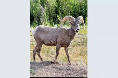 22800 County Road 185 C, Salida, CO 81201 - Photo 39