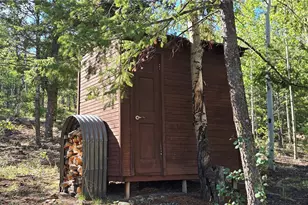 22800 Co Rd 185C, Salida, CO 81201 - Photo 43