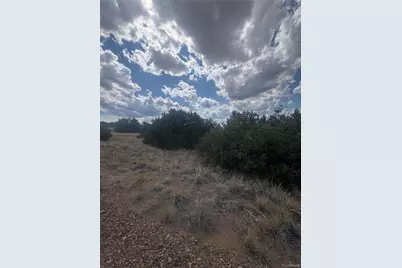 Lot 558 Mount Shavano, Colorado City, CO 81019 - Photo 3