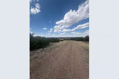 Lot 558 Mount Shavano, Colorado City, CO 81019 - Photo 7