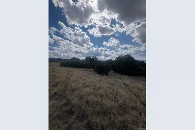 Lot 558 Mount Shavano, Colorado City, CO 81019 - Photo 5