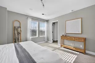 2389 Verbena St, Denver, CO 80238 - Photo 19