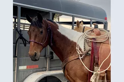 20818 Silverado Hill Loop, Colorado Springs, CO 80928 - Photo 7