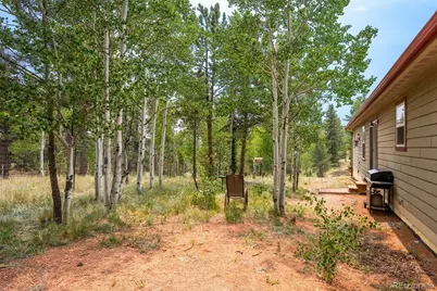 156 Fossil Creek Road, Florissant, CO 80816 - Photo 39