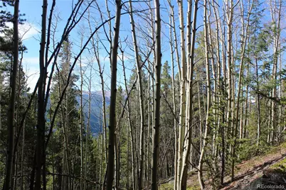4-2 Lamertine Road, Idaho Springs, CO 80452 - Photo 3
