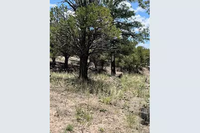 1153 Badger Road, Crestone, CO 81131 - Photo 3