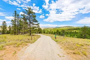 65 Riata Run, Hartsel, CO 80449 - Photo 15